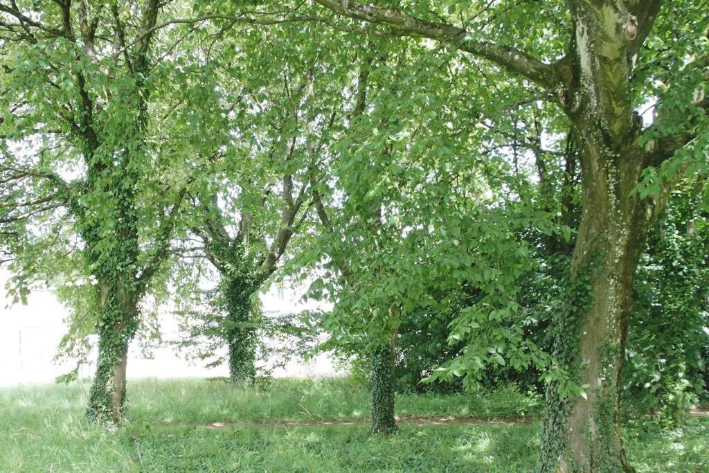 Upper RissingtonCotswold Gem公寓 外观 照片
